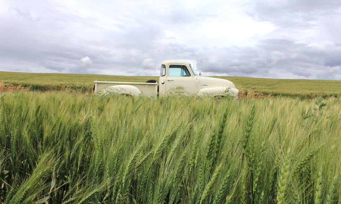 Bainbridge Distillers Organic Grains