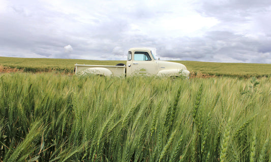 Bainbridge Distillers Organic Grains